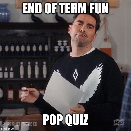 Thanks so much | END OF TERM FUN; POP QUIZ | image tagged in thanks so much | made w/ Imgflip meme maker