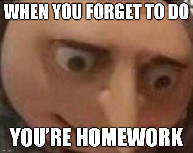 gru meme | WHEN YOU FORGET TO DO; YOU’RE HOMEWORK | image tagged in gru meme | made w/ Imgflip meme maker