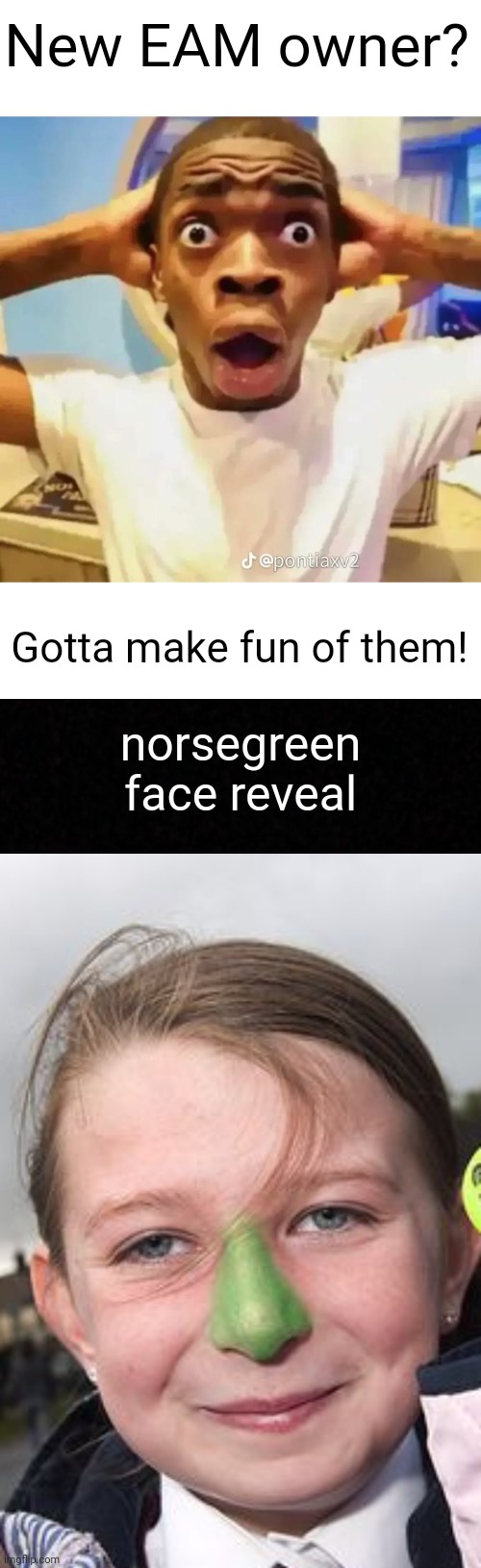 Meme #2,009 | New EAM owner? Gotta make fun of them! norsegreen face reveal | image tagged in shocked black guy,blank,owner,face reveal,mods,memes | made w/ Imgflip meme maker