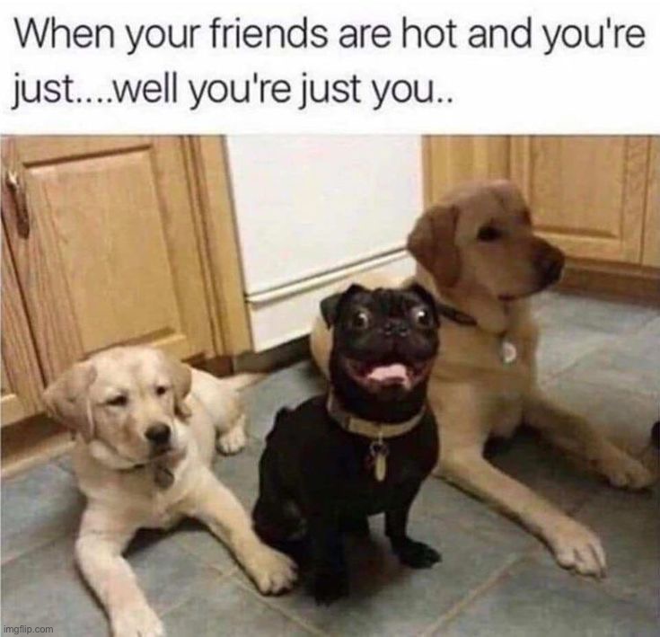 image tagged in memes,funny | made w/ Imgflip meme maker