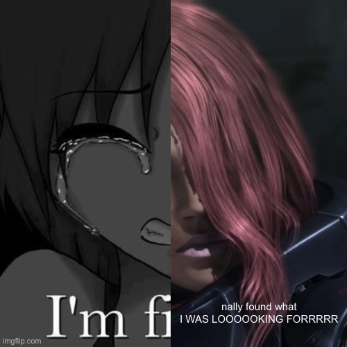 nally found what I WAS LOOOOOKING FORRRRR | made w/ Imgflip meme maker