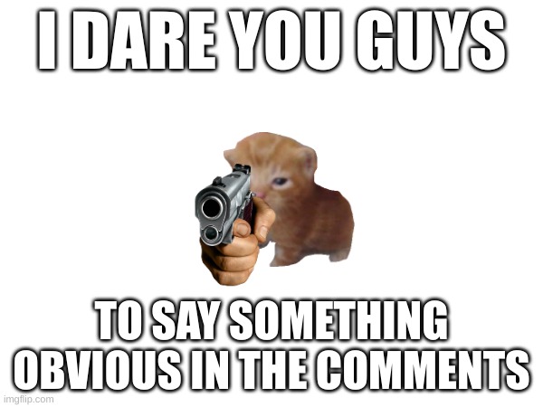 i freaking dare you | I DARE YOU GUYS; TO SAY SOMETHING OBVIOUS IN THE COMMENTS | image tagged in what,i dare you,blank | made w/ Imgflip meme maker