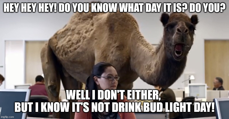 What day is it | HEY HEY HEY! DO YOU KNOW WHAT DAY IT IS? DO YOU? WELL I DON'T EITHER, 
BUT I KNOW IT'S NOT DRINK BUD LIGHT DAY! | image tagged in humor,bud light | made w/ Imgflip meme maker