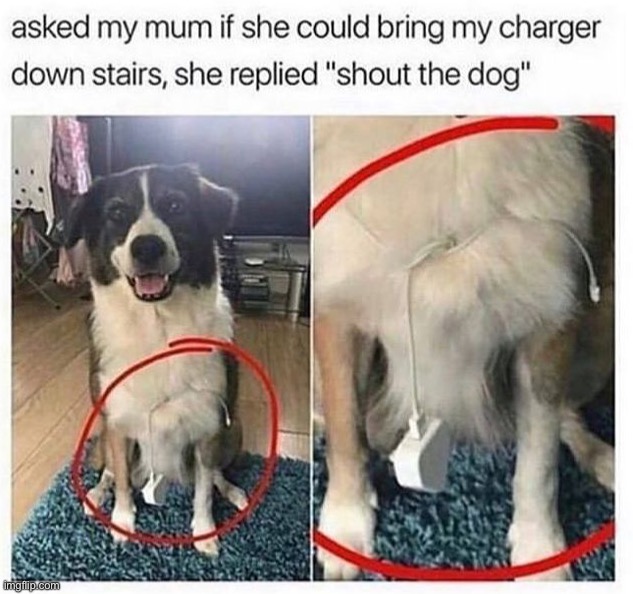 image tagged in memes,funny | made w/ Imgflip meme maker