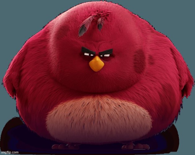 Angry Birds - Terence | image tagged in angry birds - terence | made w/ Imgflip meme maker