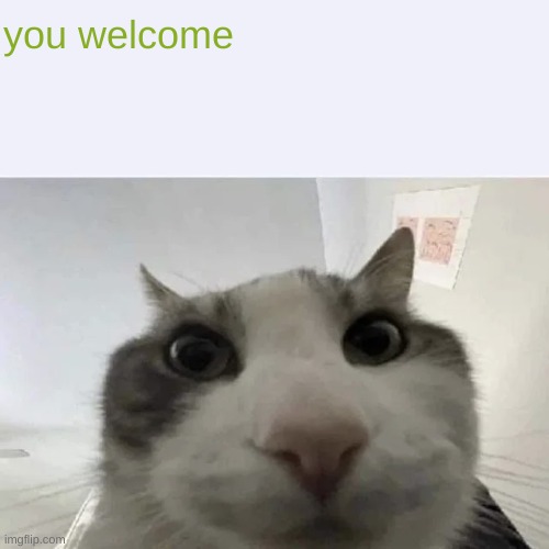 You dont know what your welcome for >:) | you welcome | image tagged in green text cat,no context | made w/ Imgflip meme maker