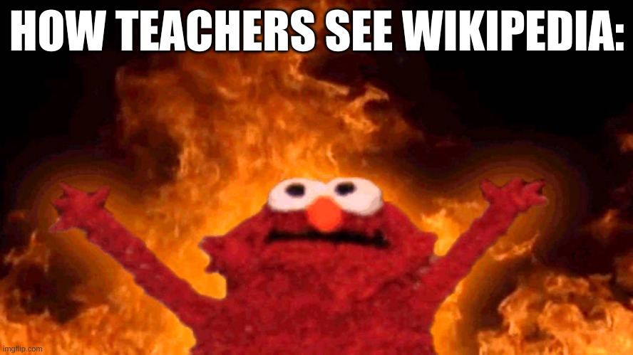 AAAAAAAAAAAAAAA WHY CAN"T I USED WIKIPEDIA | HOW TEACHERS SEE WIKIPEDIA: | image tagged in elmo fire,wikipedia | made w/ Imgflip meme maker