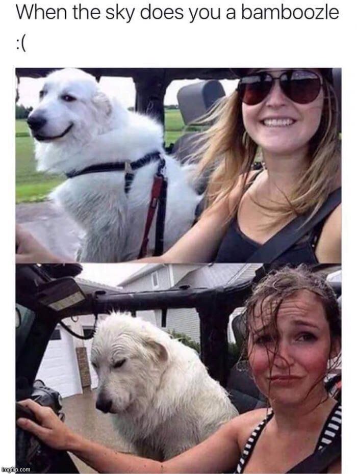 image tagged in memes,funny | made w/ Imgflip meme maker