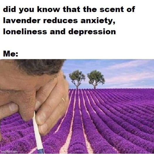 image tagged in memes,funny,depression | made w/ Imgflip meme maker