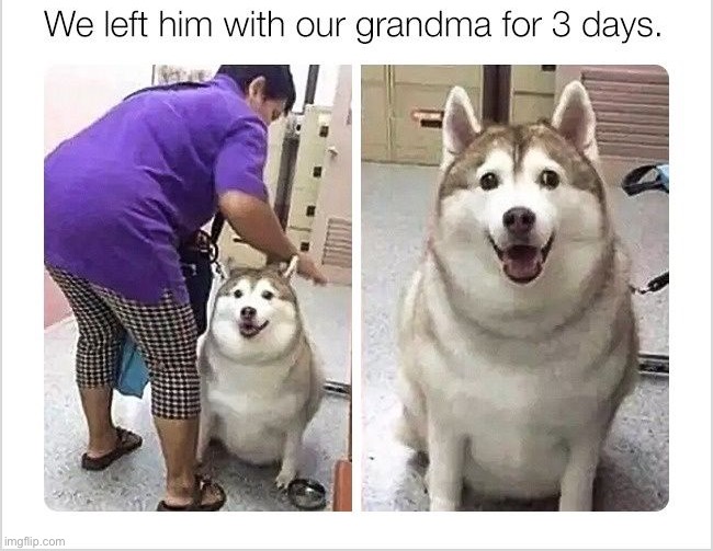 Never takin him to grandmas again | image tagged in memes,funny | made w/ Imgflip meme maker