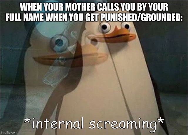Private Internal Screaming | WHEN YOUR MOTHER CALLS YOU BY YOUR FULL NAME WHEN YOU GET PUNISHED/GROUNDED: | image tagged in private internal screaming | made w/ Imgflip meme maker