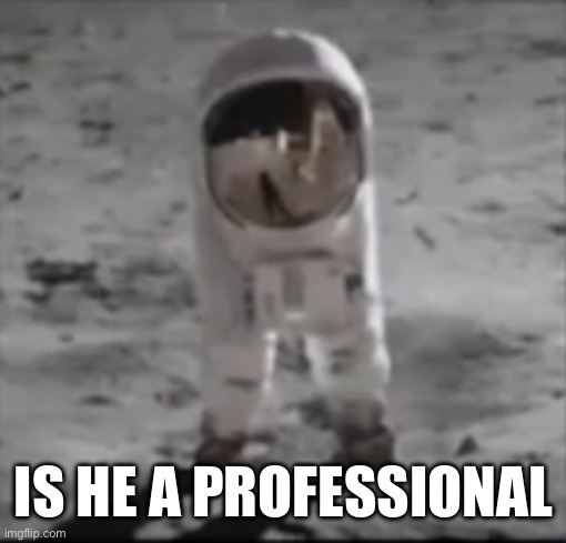 Yes | IS HE A PROFESSIONAL | image tagged in he is professional | made w/ Imgflip meme maker