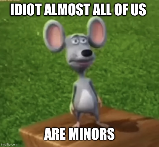 Wtf did I just here right now | IDIOT ALMOST ALL OF US ARE MINORS | image tagged in wtf did i just here right now | made w/ Imgflip meme maker