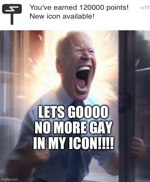 Biden Lets Go | LETS GOOOO NO MORE GAY IN MY ICON!!!! | image tagged in biden lets go | made w/ Imgflip meme maker