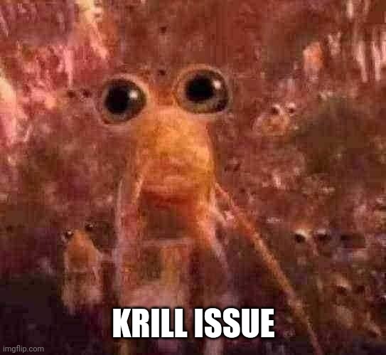 Krill... | KRILL ISSUE | image tagged in krill | made w/ Imgflip meme maker