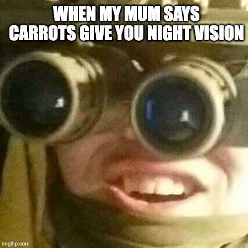 Lies Your Parents Told You 2 | WHEN MY MUM SAYS CARROTS GIVE YOU NIGHT VISION | image tagged in lies,bad parenting | made w/ Imgflip meme maker