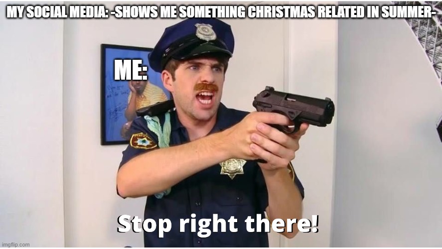 When my Social Media shows me Christmas stuff in the middle of Summer | MY SOCIAL MEDIA: -SHOWS ME SOMETHING CHRISTMAS RELATED IN SUMMER-; ME: | image tagged in stop right there | made w/ Imgflip meme maker