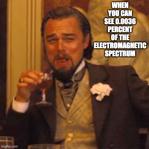 Laughing Leo Meme | WHEN YOU CAN SEE 0.0036 PERCENT OF THE ELECTROMAGNETIC SPECTRUM | image tagged in memes,laughing leo,space | made w/ Imgflip meme maker