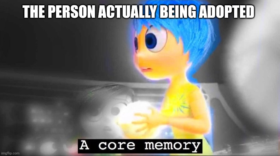 A core memory | THE PERSON ACTUALLY BEING ADOPTED | image tagged in a core memory | made w/ Imgflip meme maker