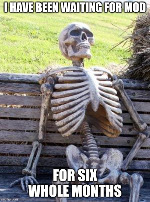 Waiting Skeleton Meme | I HAVE BEEN WAITING FOR MOD; FOR SIX WHOLE MONTHS | image tagged in memes,waiting skeleton | made w/ Imgflip meme maker