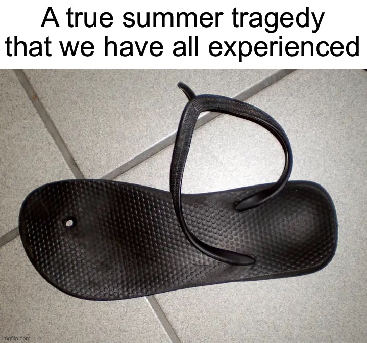 It’s very sad when this happens :( | A true summer tragedy that we have all experienced | image tagged in memes,funny,true story,flip flops,summer,relatable memes | made w/ Imgflip meme maker