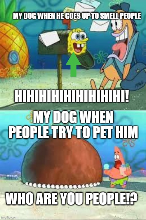 MY DOG WHEN HE GOES UP TO SMELL PEOPLE; HIHIHIHIHIHIHIHIHI! MY DOG WHEN PEOPLE TRY TO PET HIM; WHO ARE YOU PEOPLE!? | image tagged in hi mailman,who are you people | made w/ Imgflip meme maker