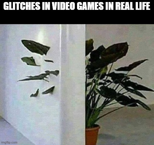 GLITCHES IN VIDEO GAMES IN REAL LIFE | image tagged in gaming | made w/ Imgflip meme maker