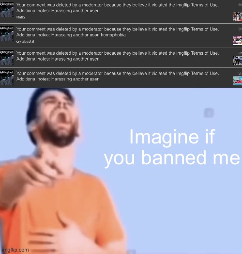Bro did not say repeated violations | Imagine if you banned me | image tagged in laughing and pointing | made w/ Imgflip meme maker