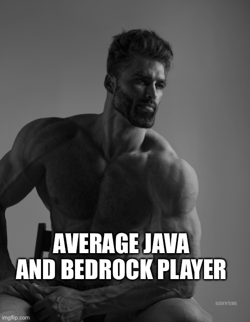 Giga Chad | AVERAGE JAVA AND BEDROCK PLAYER | image tagged in giga chad | made w/ Imgflip meme maker