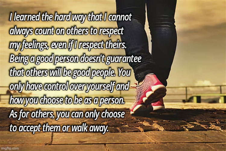 Walk Away | image tagged in respect,disrespect,wisdom | made w/ Imgflip meme maker