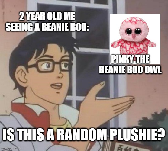 Is This A Pigeon | 2 YEAR OLD ME SEEING A BEANIE BOO:; PINKY THE BEANIE BOO OWL; IS THIS A RANDOM PLUSHIE? | image tagged in memes,is this a pigeon | made w/ Imgflip meme maker