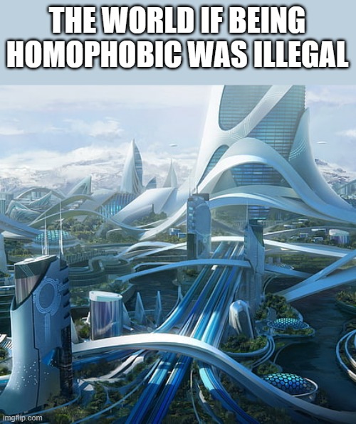 The world if | THE WORLD IF BEING HOMOPHOBIC WAS ILLEGAL | image tagged in the world if | made w/ Imgflip meme maker