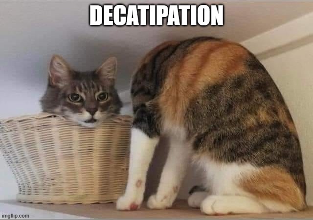 Decatpitated | DECATIPATION | image tagged in decatpitated | made w/ Imgflip meme maker