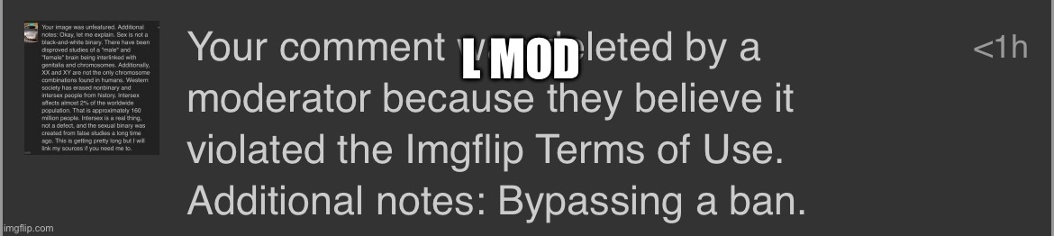 L MOD | made w/ Imgflip meme maker