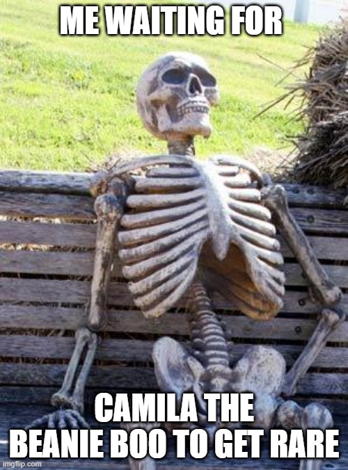 yes | ME WAITING FOR; CAMILA THE BEANIE BOO TO GET RARE | image tagged in memes,waiting skeleton | made w/ Imgflip meme maker