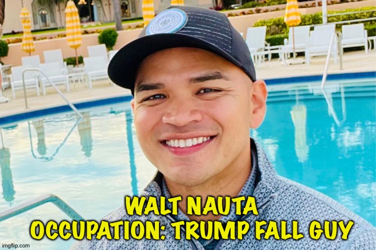 The Donald has a steady supply | WALT NAUTA
OCCUPATION: TRUMP FALL GUY | image tagged in walt nauta,fall guy | made w/ Imgflip meme maker