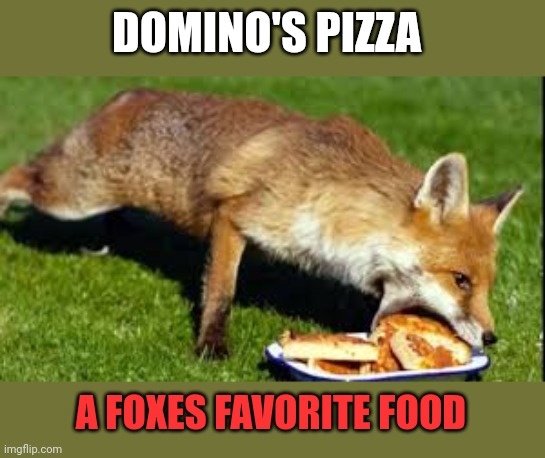 Important fox facts | DOMINO'S PIZZA; A FOXES FAVORITE FOOD | image tagged in important,fox,facts | made w/ Imgflip meme maker