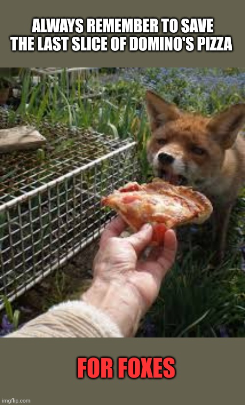 What does the fox eat? | ALWAYS REMEMBER TO SAVE THE LAST SLICE OF DOMINO'S PIZZA; FOR FOXES | image tagged in what does the fox say,pizza | made w/ Imgflip meme maker