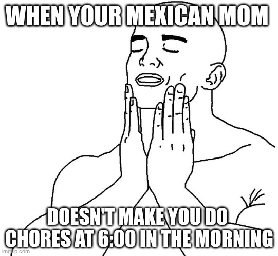 SO satisfying because you get to relax :) | WHEN YOUR MEXICAN MOM; DOESN'T MAKE YOU DO  CHORES AT 6:00 IN THE MORNING | image tagged in satisfaction | made w/ Imgflip meme maker