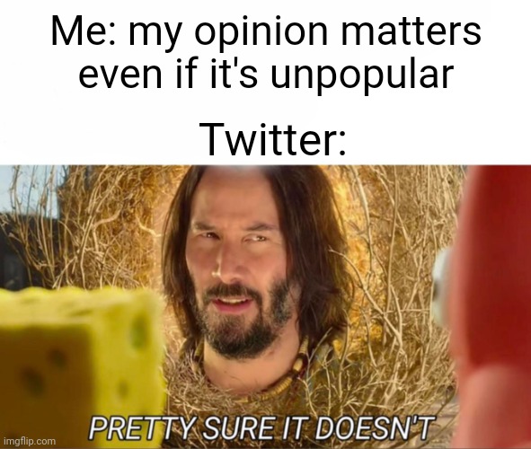 Meme #2,029 | Me: my opinion matters even if it's unpopular; Twitter: | image tagged in im pretty sure it doesnt,memes,twitter,opinion,funny,meme | made w/ Imgflip meme maker