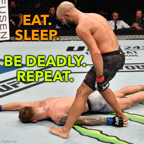 Repeat | EAT.
SLEEP. BE DEADLY.
REPEAT. | image tagged in k o knock out | made w/ Imgflip meme maker