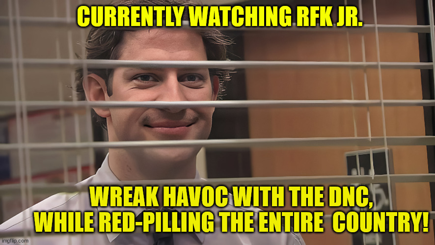 CURRENTLY WATCHING RFK JR. WREAK HAVOC WITH THE DNC, WHILE RED-PILLING THE ENTIRE  COUNTRY! | made w/ Imgflip meme maker