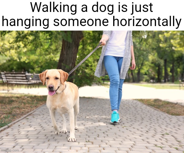 Meme #2,030 | Walking a dog is just hanging someone horizontally | image tagged in memes,shower thoughts,deep thoughts,hanging out,facts,true | made w/ Imgflip meme maker