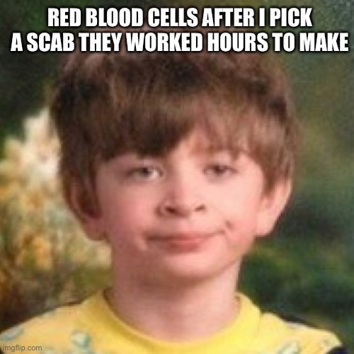 Hard work | RED BLOOD CELLS AFTER I PICK A SCAB THEY WORKED HOURS TO MAKE | image tagged in annoyed face | made w/ Imgflip meme maker