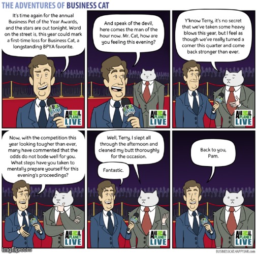 The Adventures of Business Cat #64 - Wager | made w/ Imgflip meme maker