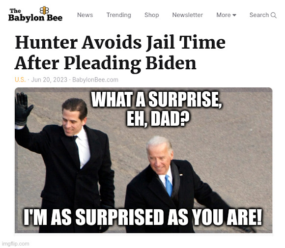 No Jail Time For Hunter Biden: What A Surprise! | WHAT A SURPRISE,
 EH, DAD? I'M AS SURPRISED AS YOU ARE! | image tagged in joe biden,hunter biden,biden crime family,gun control,war on drugs,surprise | made w/ Imgflip meme maker