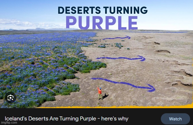 TERRARIA? | made w/ Imgflip meme maker