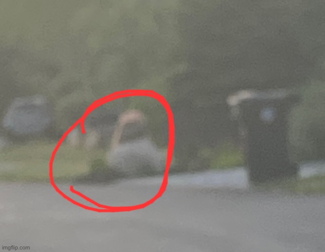 WHY DOES THE GARBAGE LOOK LIKE PETER GRIFFIN | made w/ Imgflip meme maker