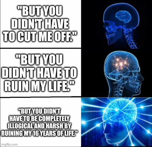 Either cap or straight facts, you decide | "BUT YOU DIDN'T HAVE TO CUT ME OFF."; "BUT YOU DIDN'T HAVE TO RUIN MY LIFE."; "BUT YOU DIDN'T HAVE TO BE COMPLETELY ILLOGICAL AND HARSH BY RUINING MY 16 YEARS OF LIFE." | image tagged in galaxy brain 3 brains | made w/ Imgflip meme maker