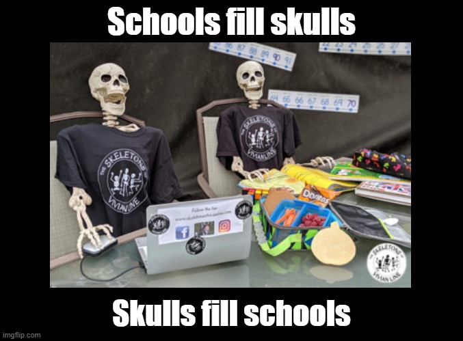 Schools fill skulls | Schools fill skulls; Skulls fill schools | image tagged in skulls,school,pun | made w/ Imgflip meme maker